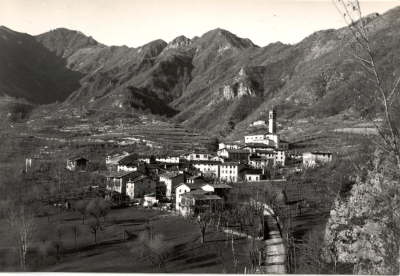 Campotamaso 1950 1