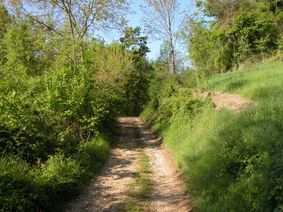 stroso dei Tesa