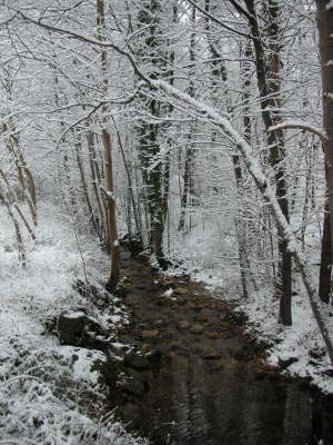 ruscello